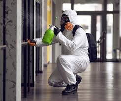 Why You Should Choose Our Mold Remediation Services in Redland, AL